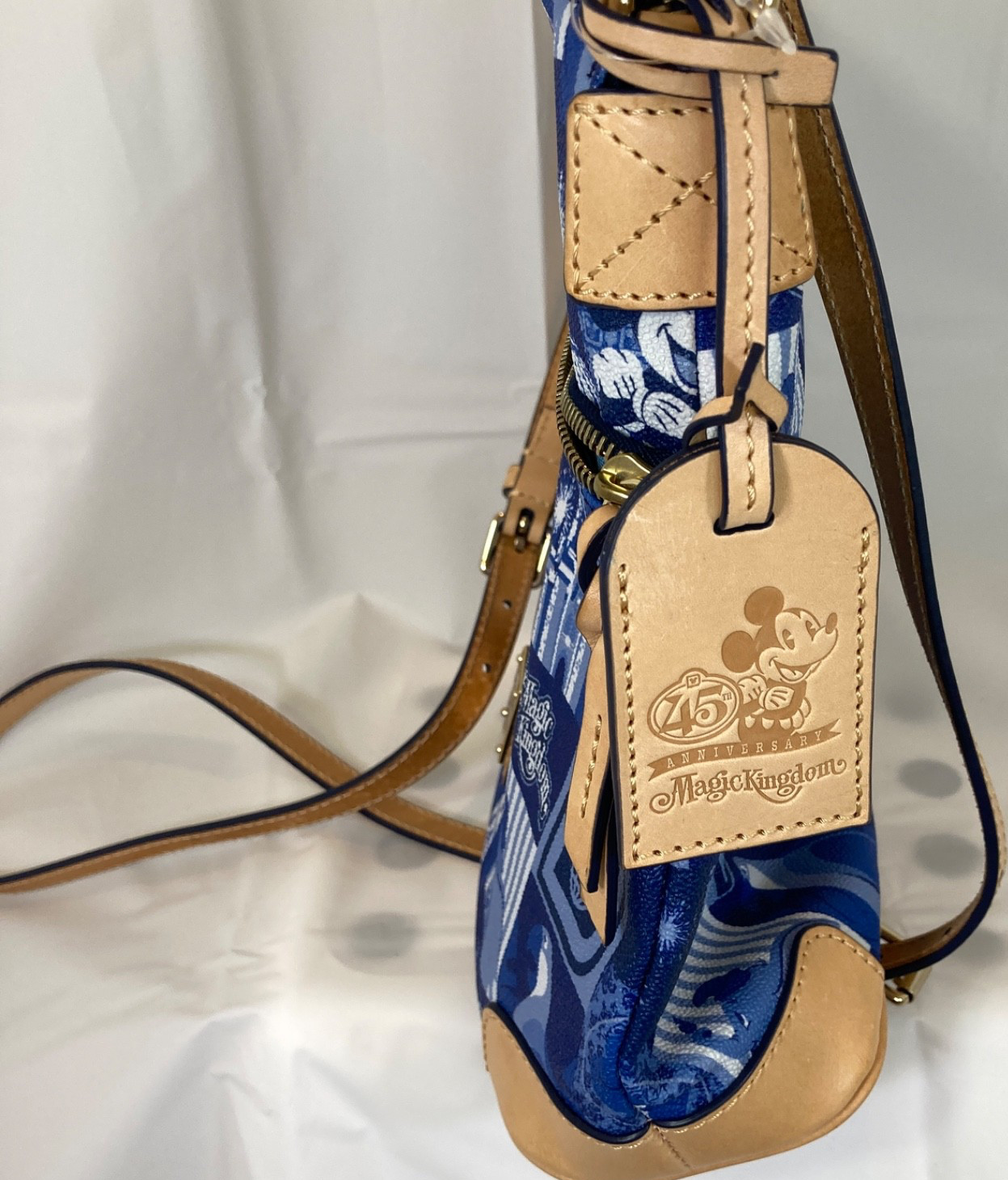 Disney Dooney & Bourke Letter Carrier NWT 2016 Magic Kingdom 45th Anniversary