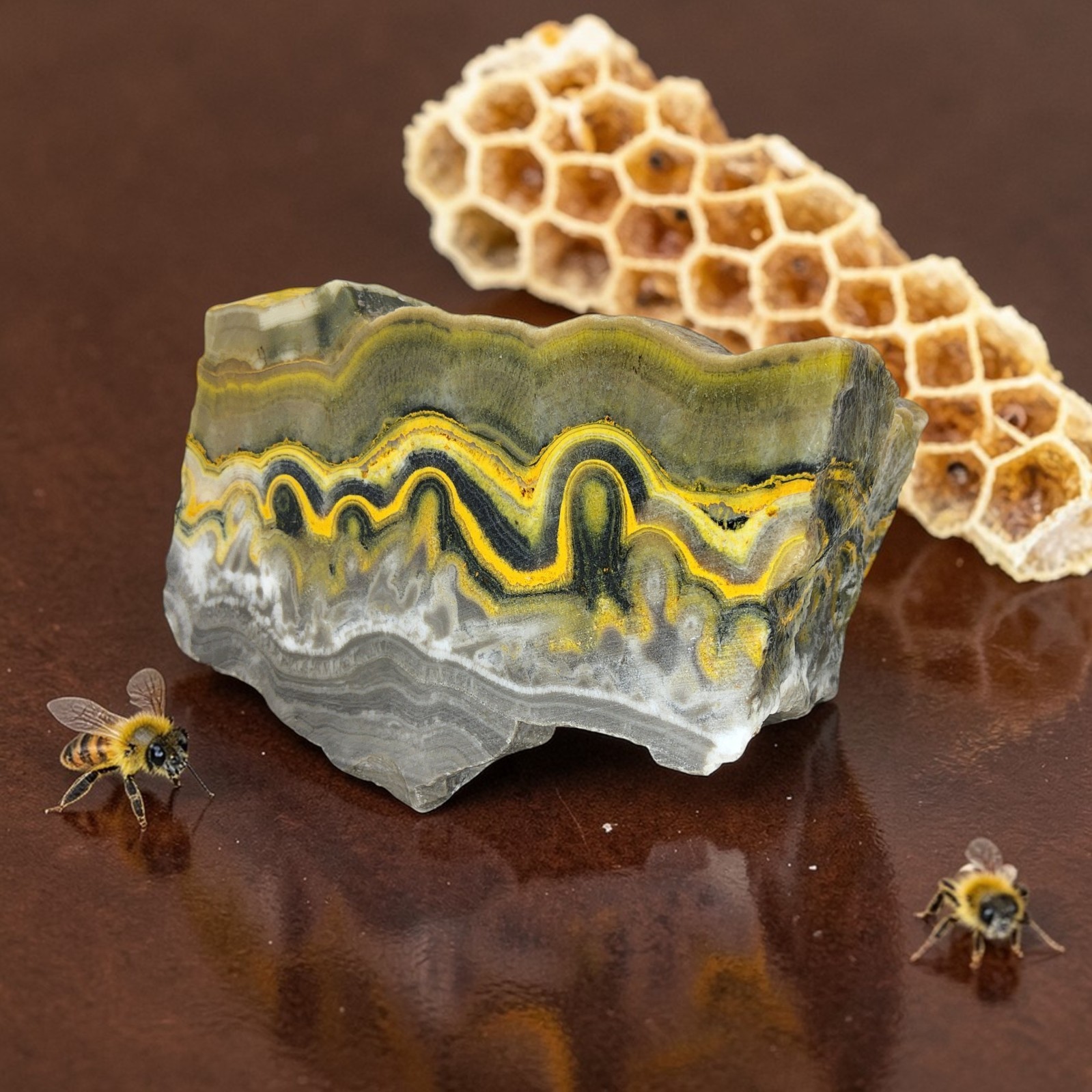 Bumblebee Jasper, 1.25 lbs, cabbing rough, #R-6999