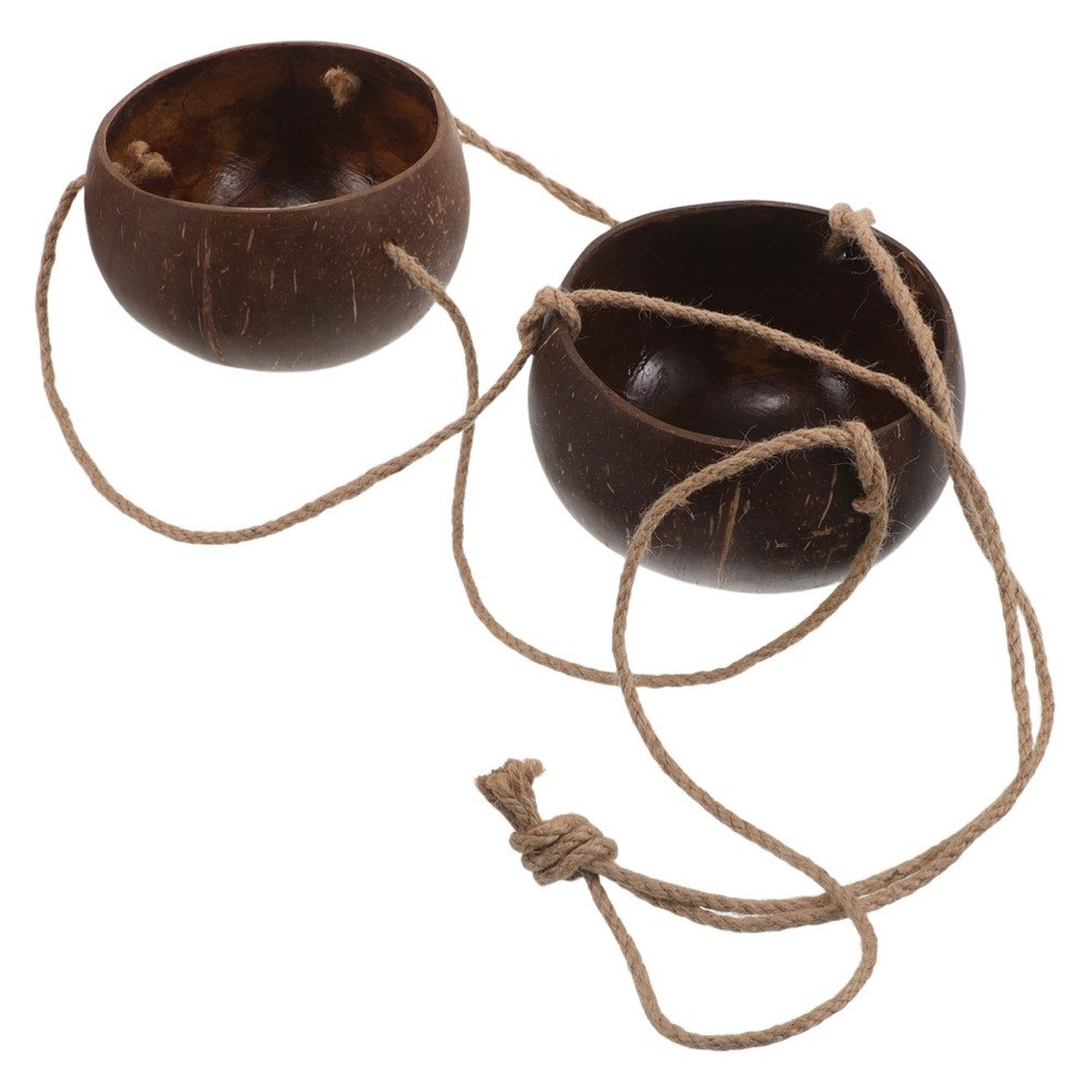Coconut Shell Flower Pot: 2-Tier Hanging Wall Planter - Coconut Shell Planter