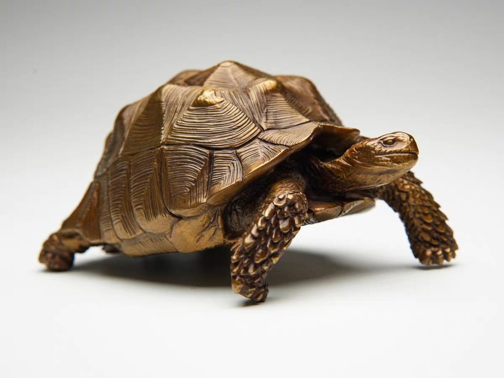 Bronze copper  Sulcata tortoise ornament Solid Artistic handcraft