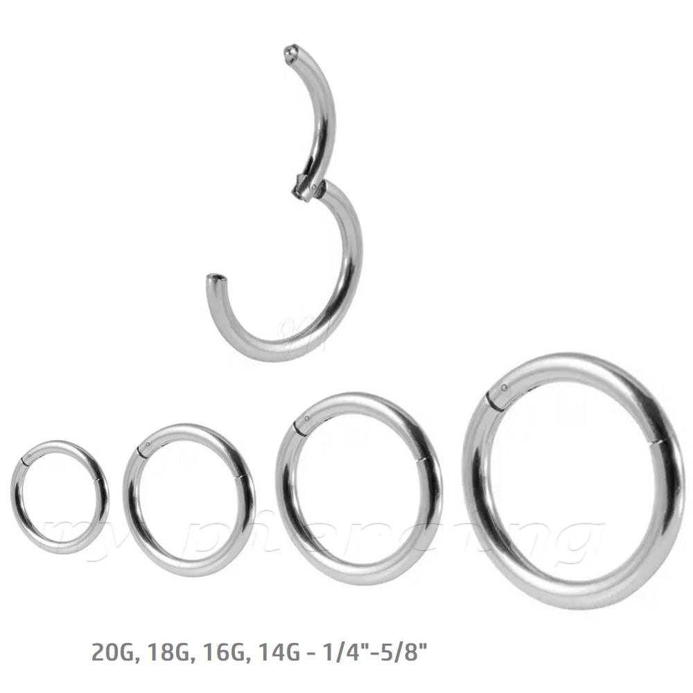 PAIR Hinged Seamless Segment Ring Nose Hoop Earring Labret Septum Ring
