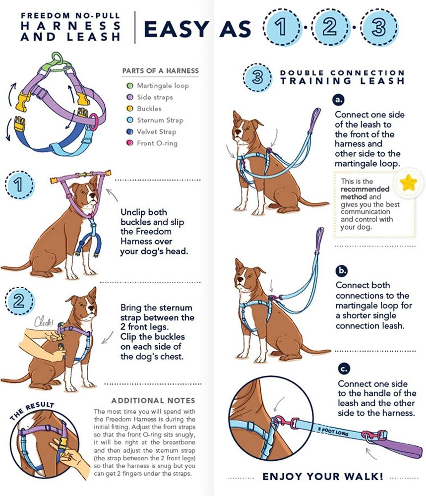 Raspberry No Pull Dog Harness Anti Pull Adjustable Chest 28 to 32 Inches