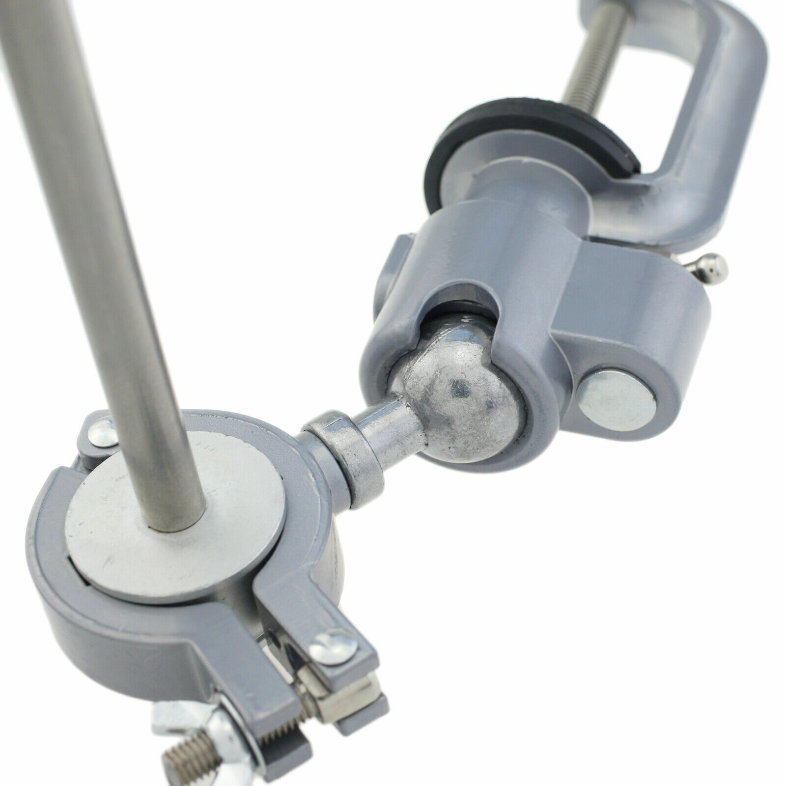 US Columbia Dentoform 860 Type Dental Typodont Model 32pcs Removable Teeth