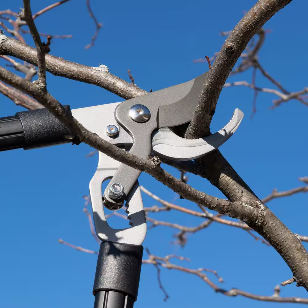 Bypass Loppers with High Carbon Steel Blades
