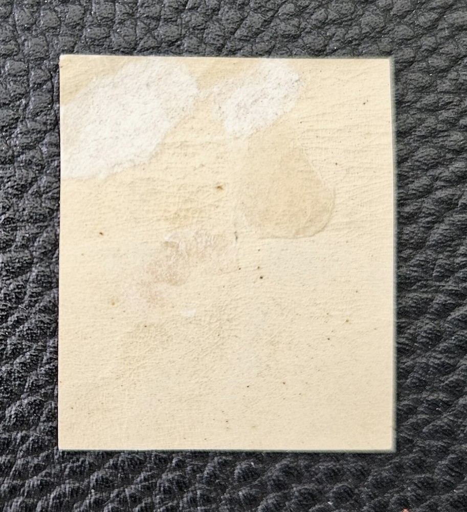 L/S CSA 3 Mint Jackson Beauty Lot C3