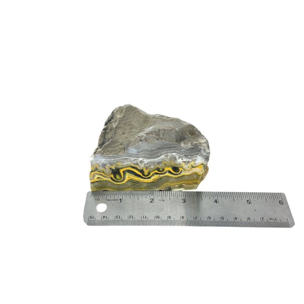 Bumblebee Jasper, 1.25 lbs, cabbing rough, #R-6999