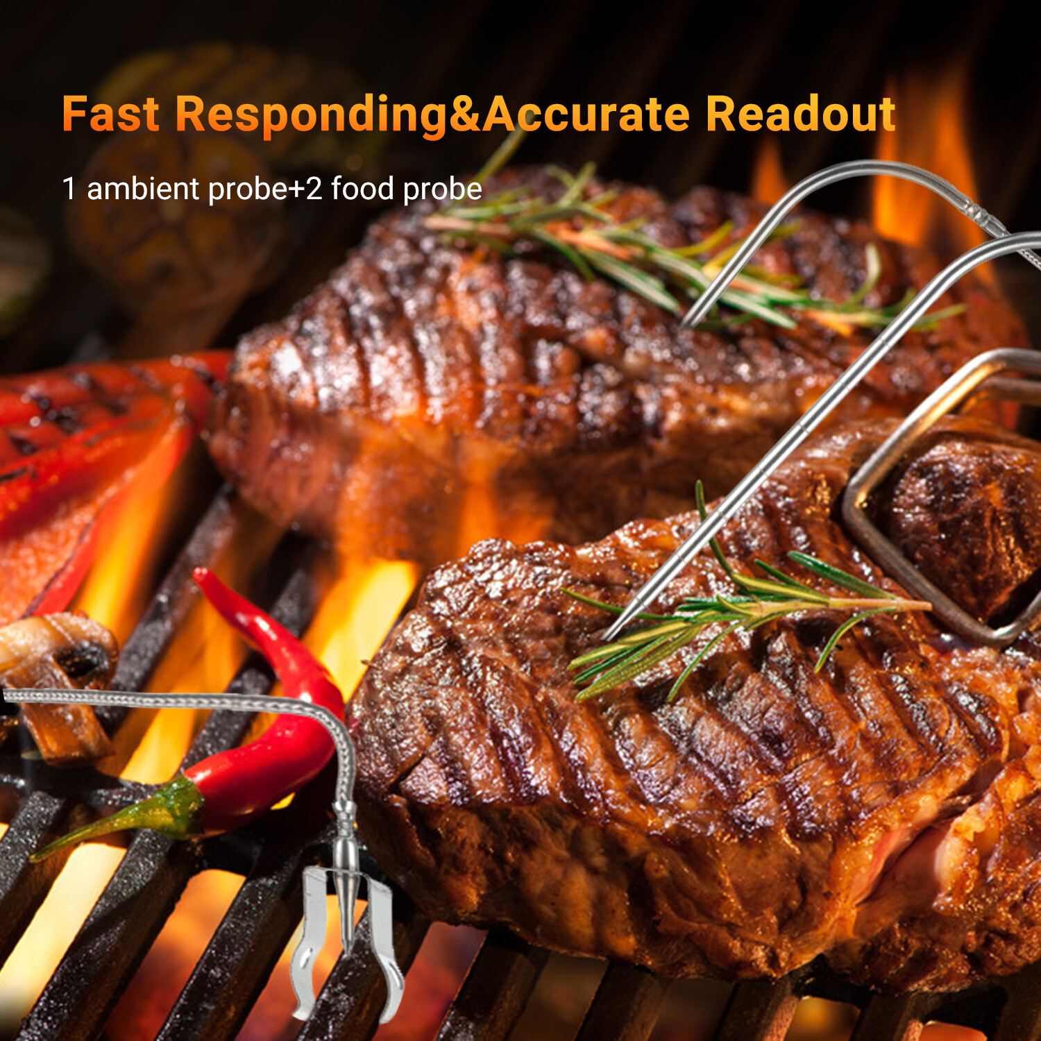 Barbecue Gas Grill Smokers Controller WiFi Bluetooth BBQ Exhaust Fan Control DC