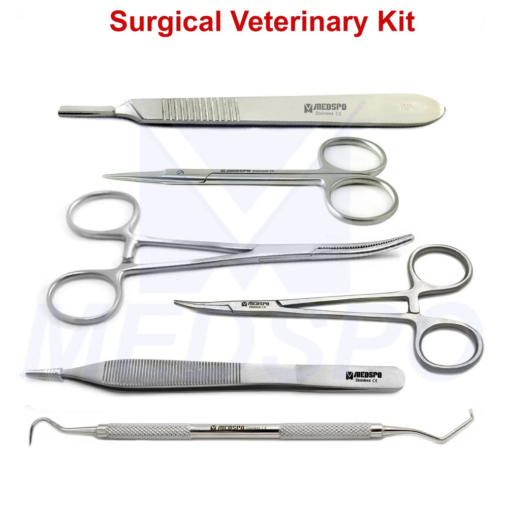 Surgical Veterinary Surgery Tools Hemostat Forceps Scissors Diagnostic Scaler CE
