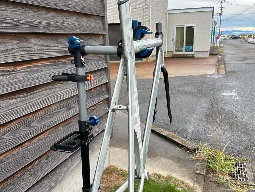 AFFINITY CYCLESKISSENA Lsize (raw)