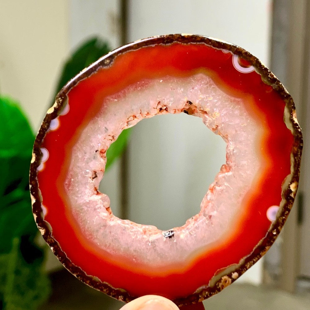 38G Natural Beautiful Agate Geode Druzy Slice Extra Large Gemstone