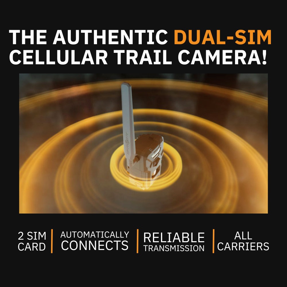 Spypoint FLEX-M Trail Camera and SPLB 10 Solar Panel Bundle with Accessories
