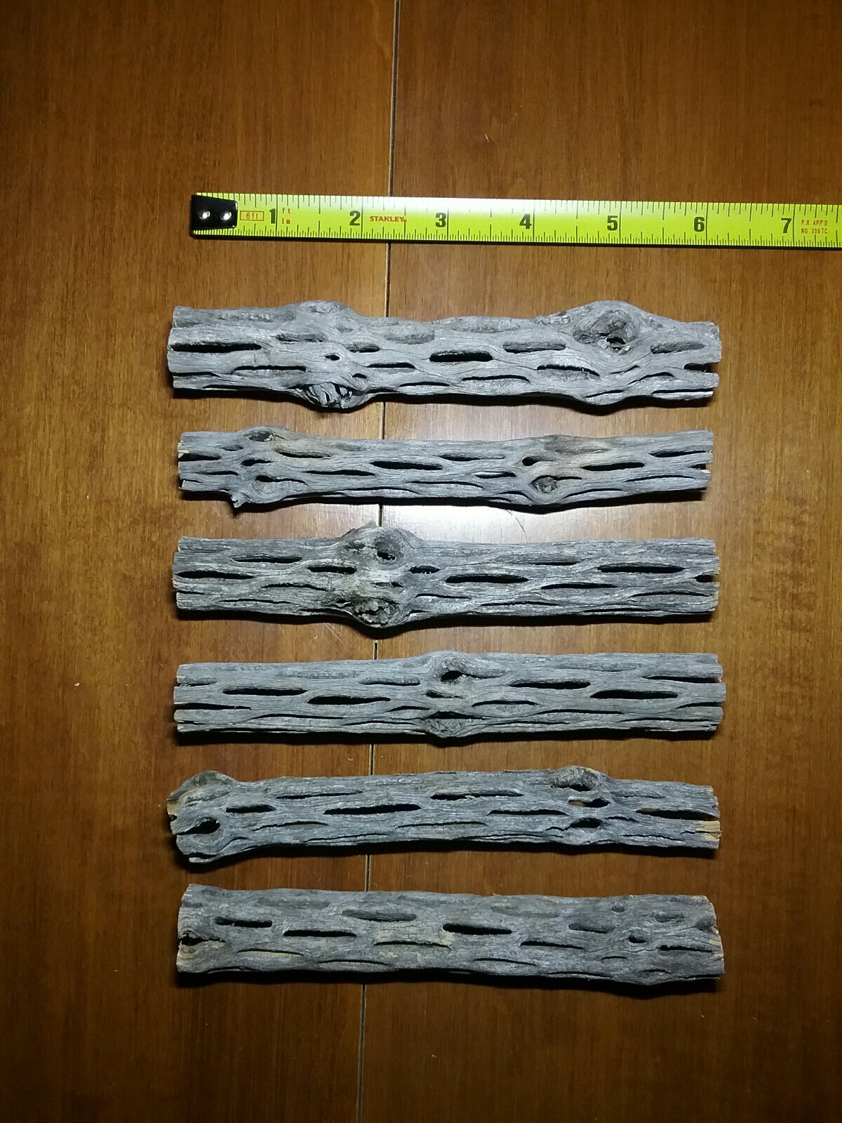 20 pcs 6" inch CHOLLA logs | Organic Cactus Wood | Shrimp Aquarium Decor | NICE!