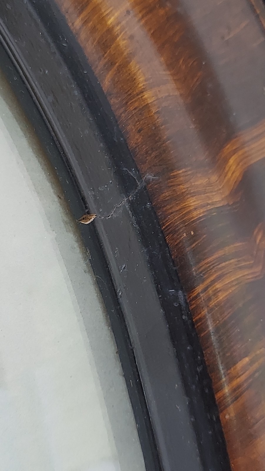 WWI Named Soldier Photo Dog Tags Convex Glass Military Frame