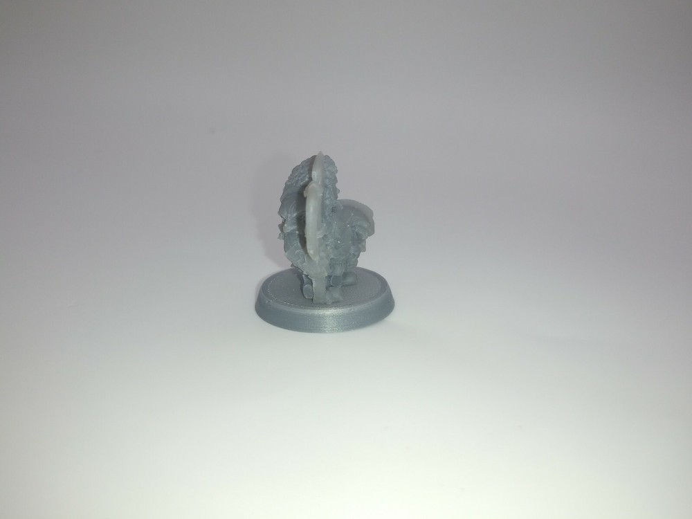 Female Dwarf warrior 