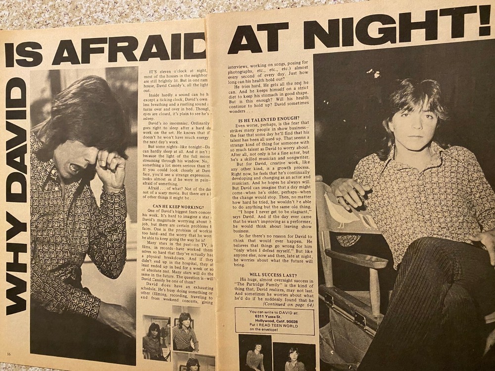 David Cassidy, Three Page Vintage Clipping