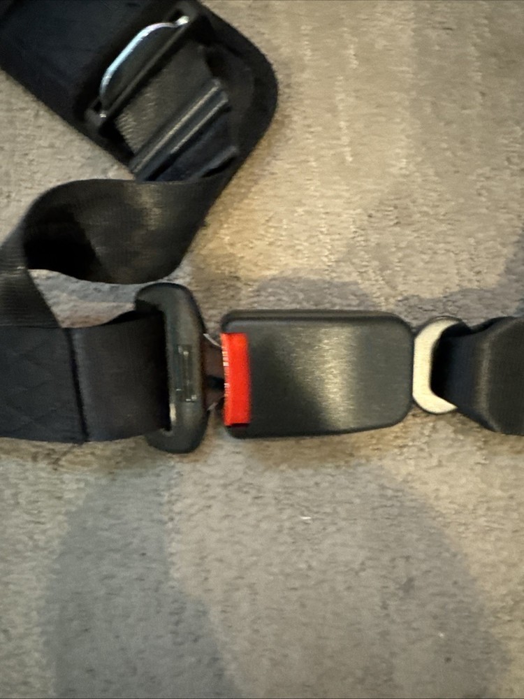Pulaim Racing 4 Point Harness Black NEW OPEN BOX!