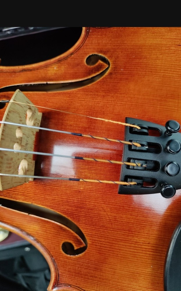 Ming Jiang Zhu Violin