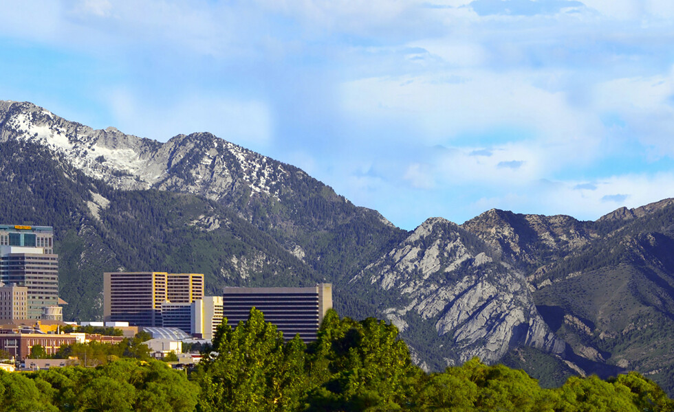 TrainJunkies Mountain City Model Railroad Backdrop