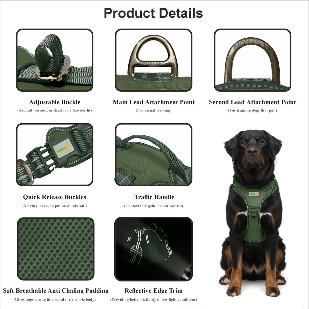 . No-Pull Dog Harness with Dual Leash Attachment Points, Soft Adjustable Padd...