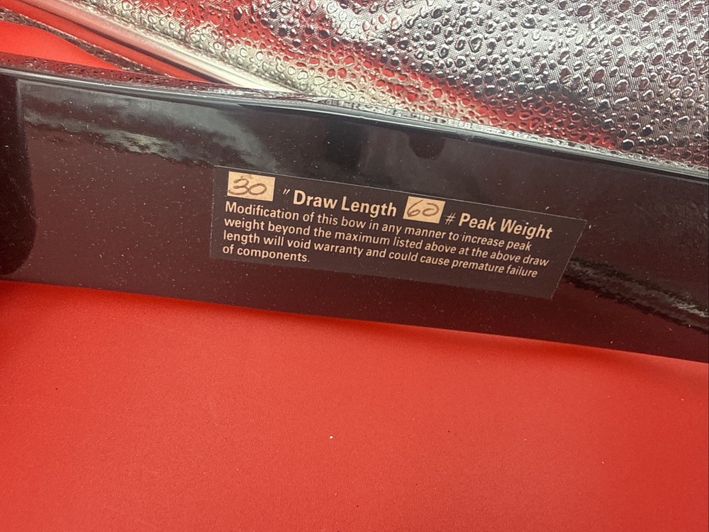 Bear Kodak Magnum Bow