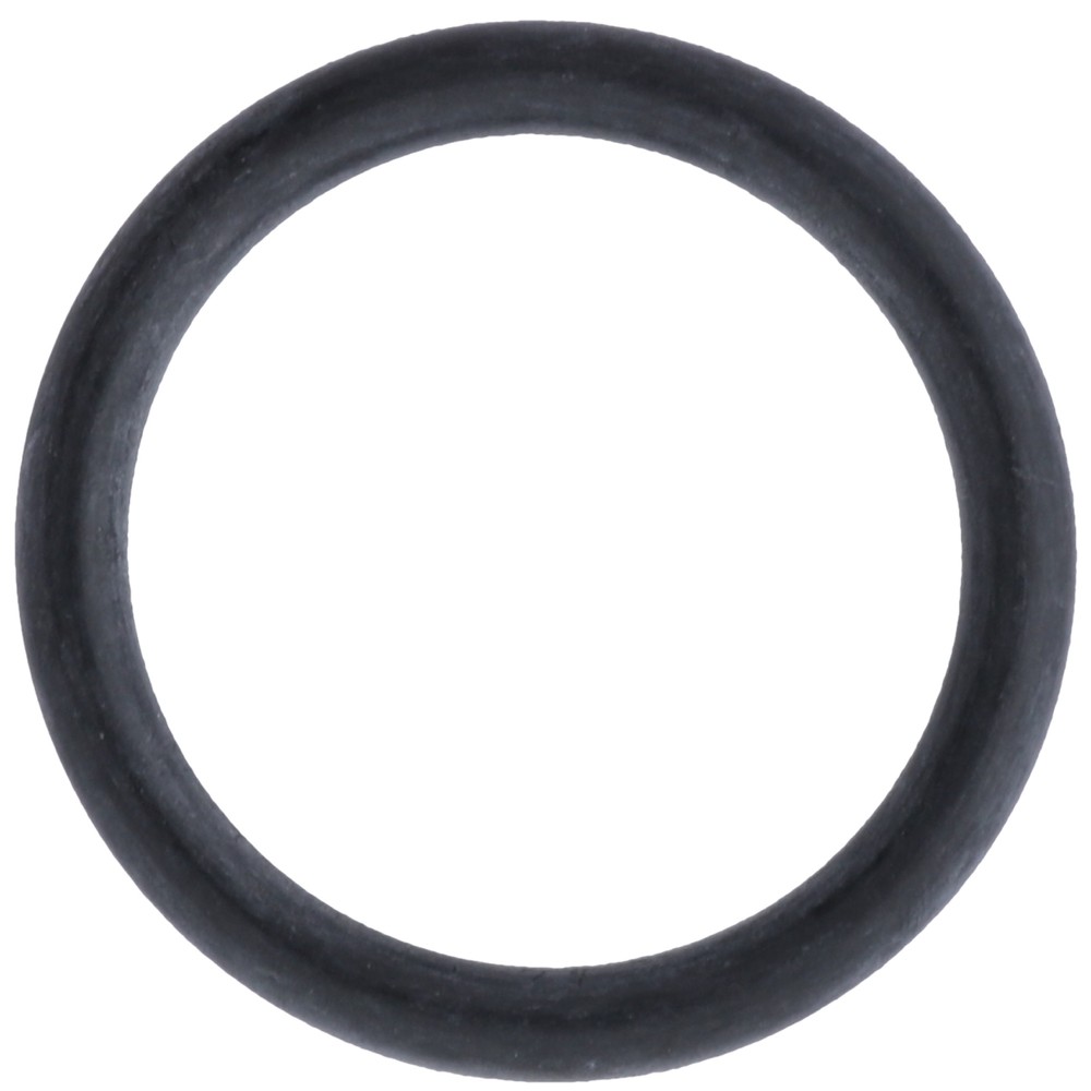 Dema MixRite TF5 Cylinder Support O-Ring