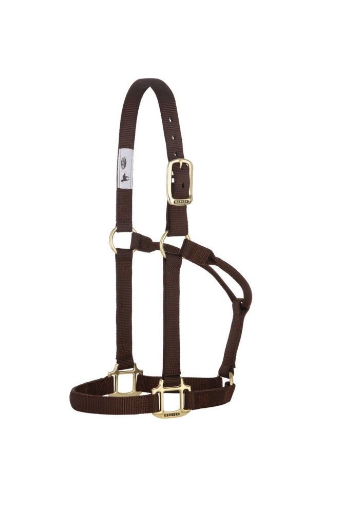 Original Non-Adjustable Halter , 1"  Brown