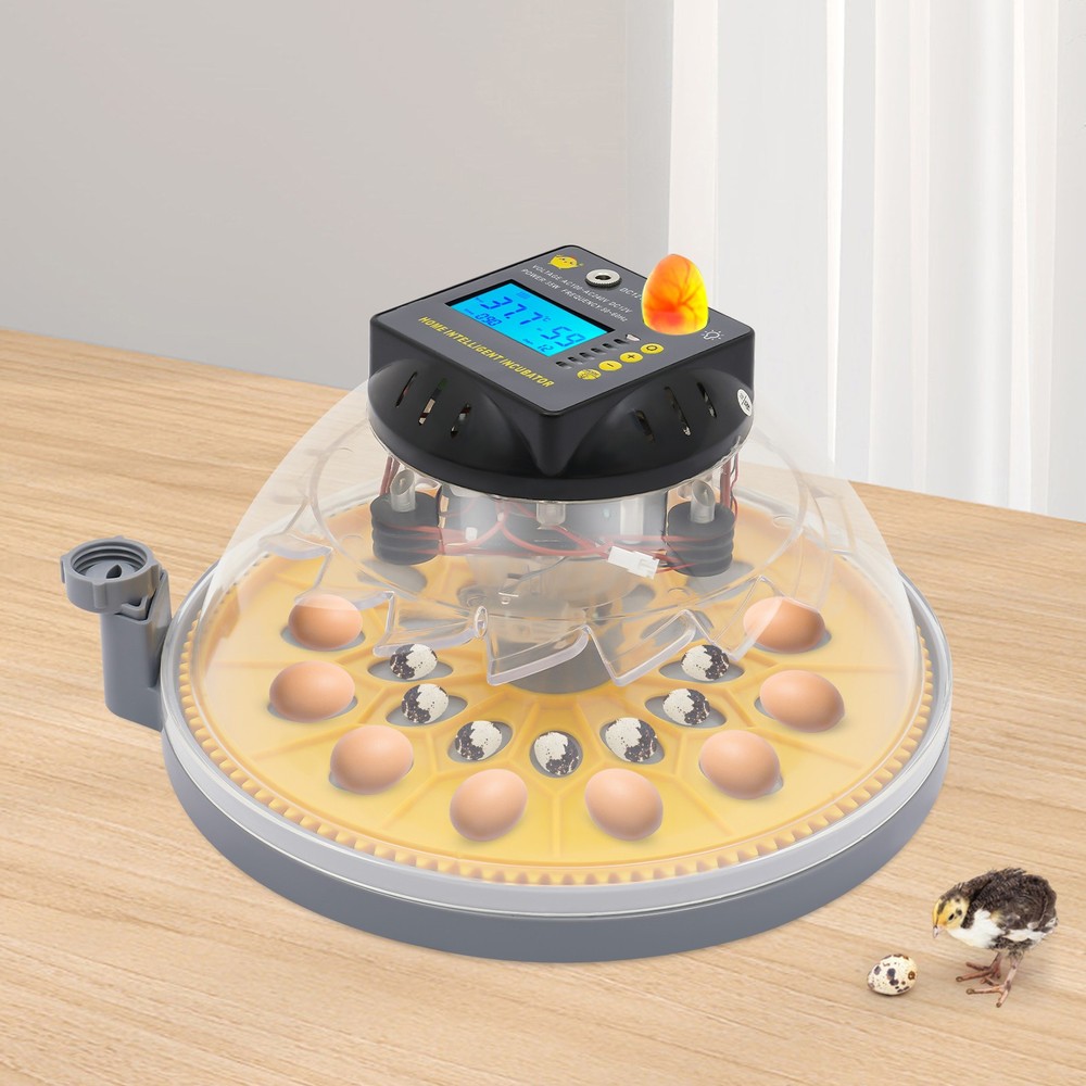 12 Eggs Egg Incubator Automatic Egg Turning&Humidity Control for Hatching Eggs