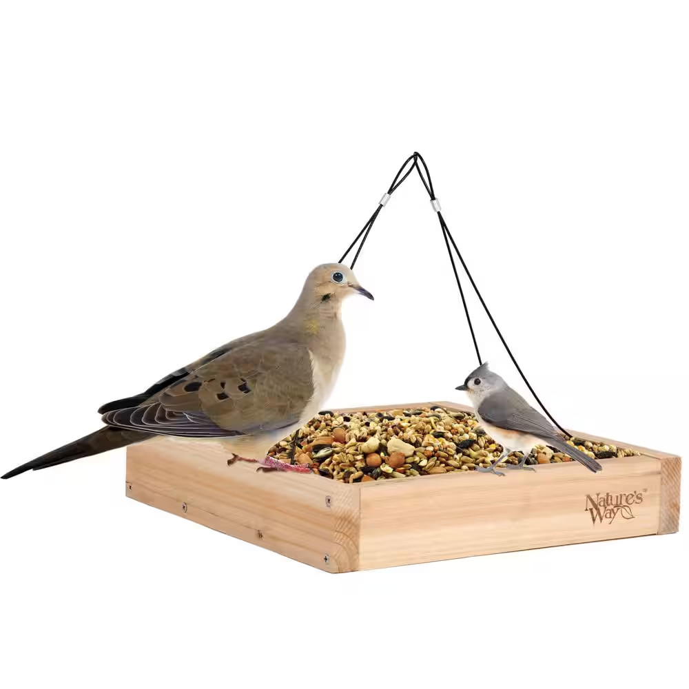 Cedar-Tray Bird Feeder-Single PACK