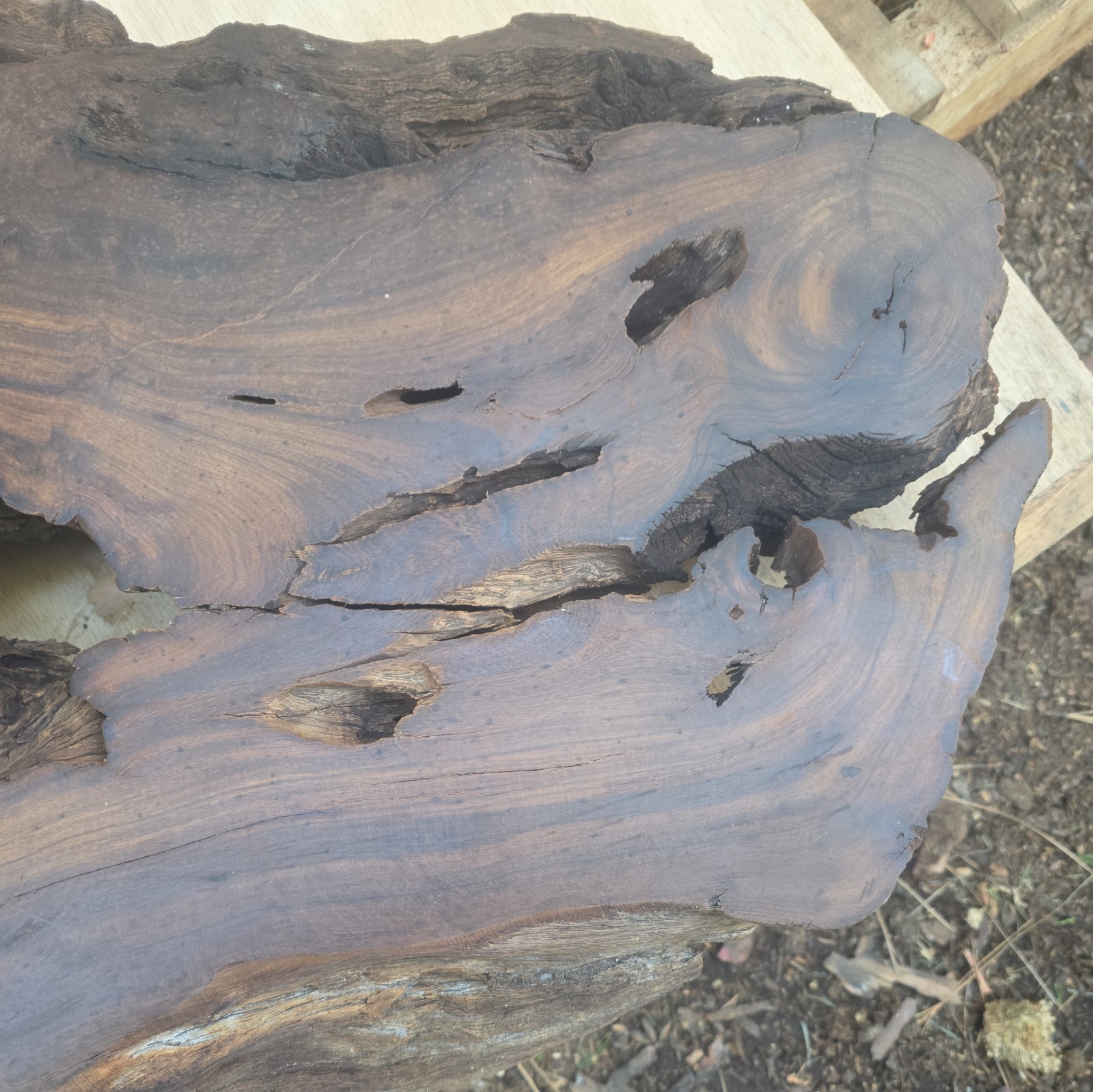 Desert Ironwood Live Edge Slab Epoxy Resin River Table Woodworking Art Mill Log