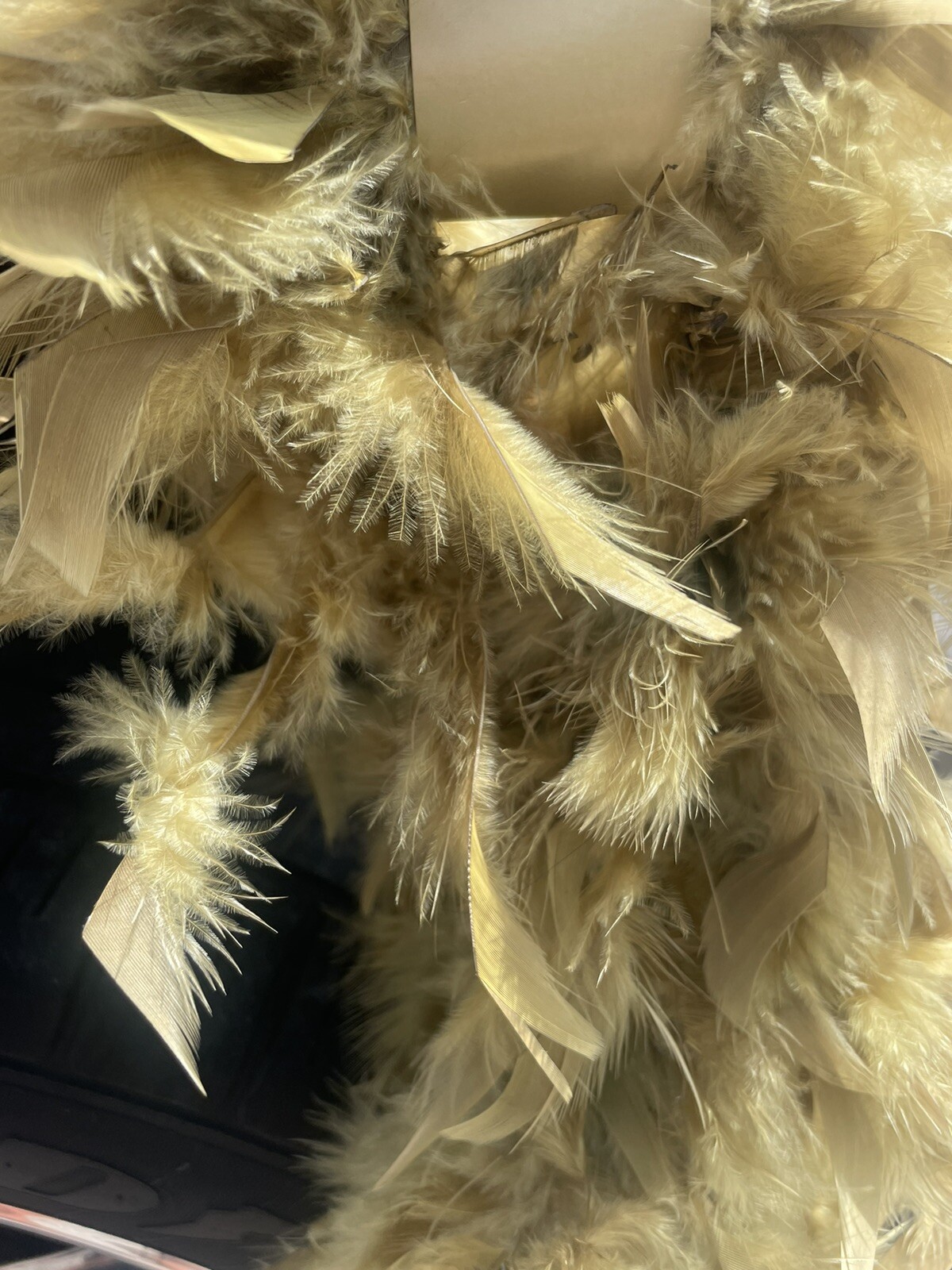 Feather Boa Halloween Costume Fancy Moss Hunter Green