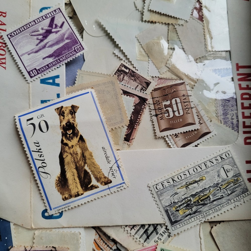 My First Stamp Album Vintage 1960 Includes Many Stamps Stamp Hinges Tweezers