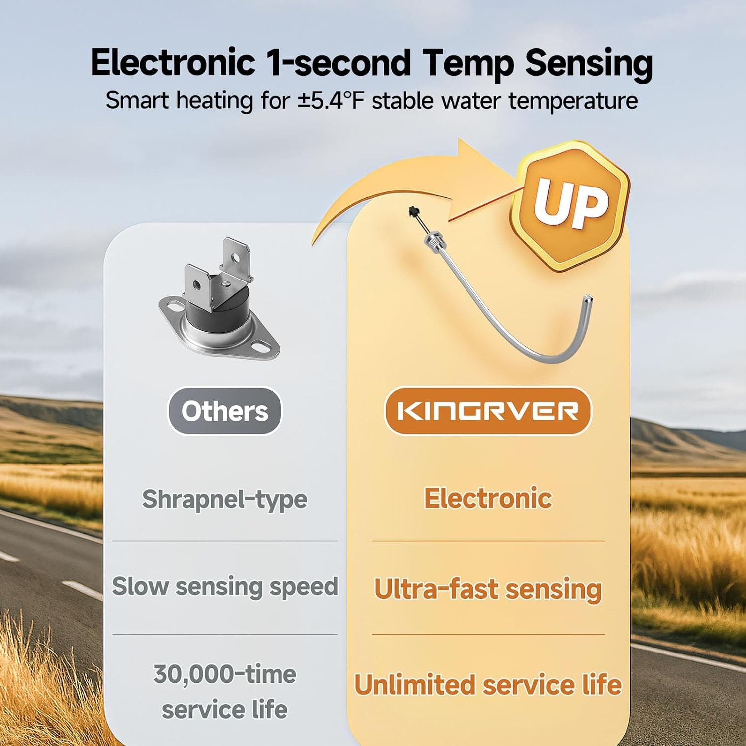 6 Gal RV Camper Tank Water Heater Propane, Electric or hybrid w/ 15"x15" Door