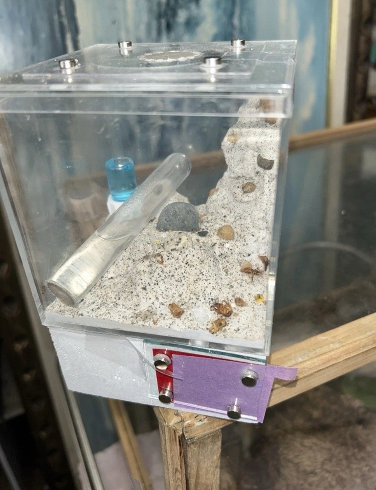 Formicarium