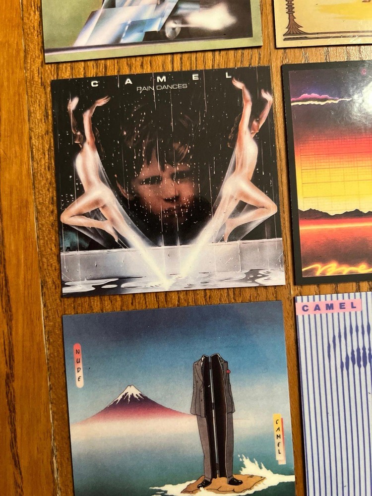 Camel fridge magnets