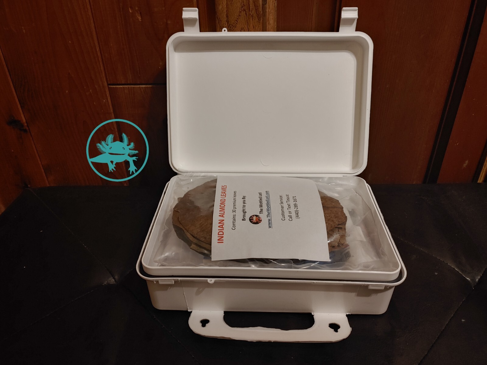 Axolotl Emergency First Aid Kit