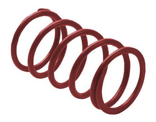 EPI DRS22 Erlandson Clutch Spring ,Maroon Ea