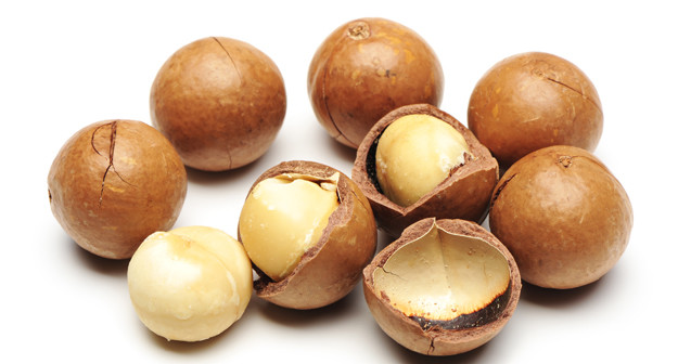 Fresh Raw shelled unsalted Macadamia Nuts 12 oz