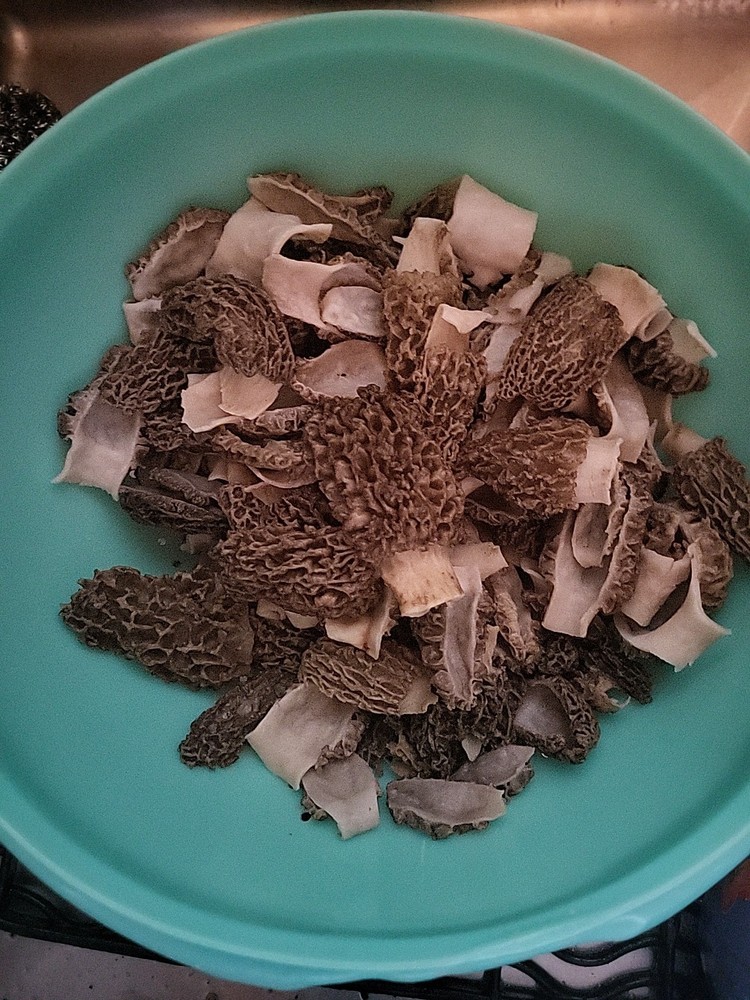 Dehydrated Illinois Morel Mushrooms