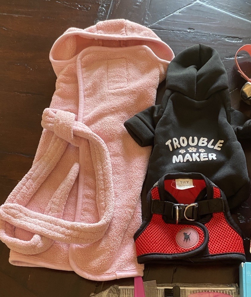 Small Dog Grooming And Other Stuff Bundle