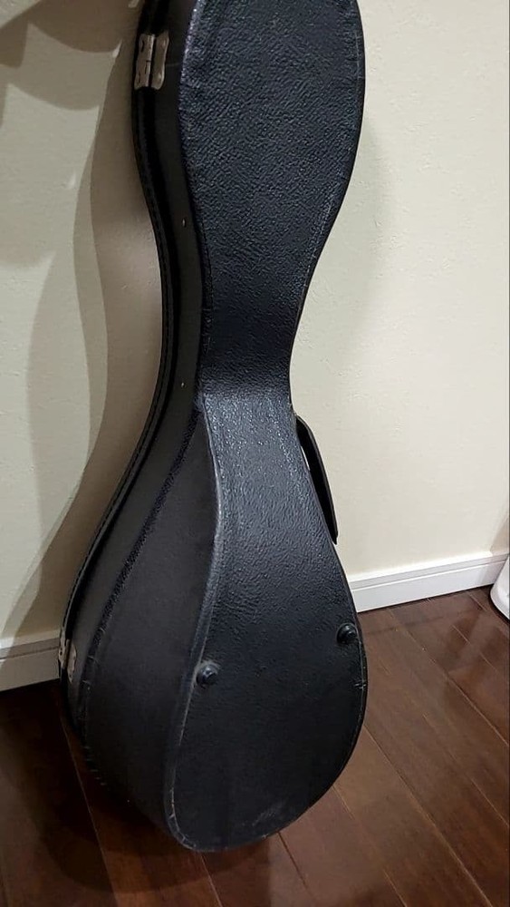 Suzuki Mandolin Violin Junk with some damage Case