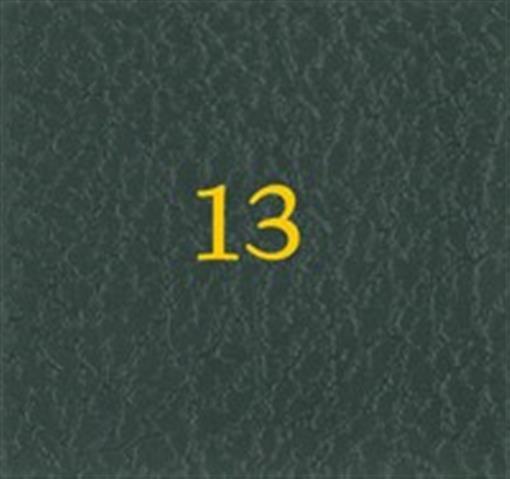 Scott Specialty Series Green Binder Label 13 Stamp Album / Slipcase Spine Number