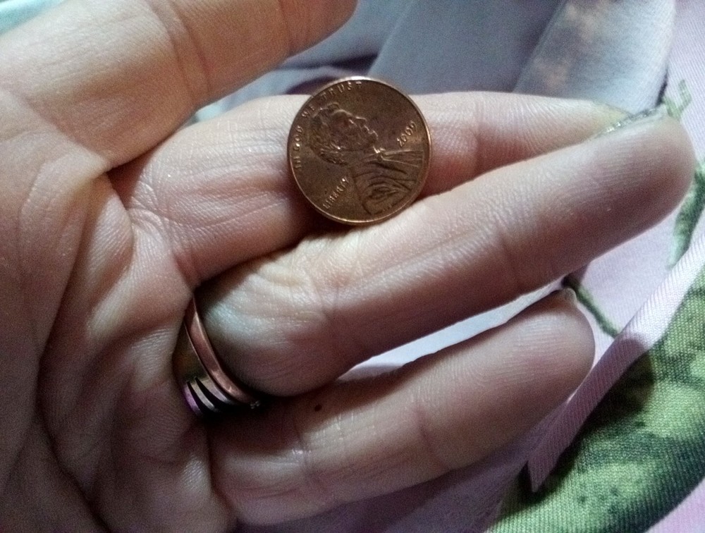 2009 Penny