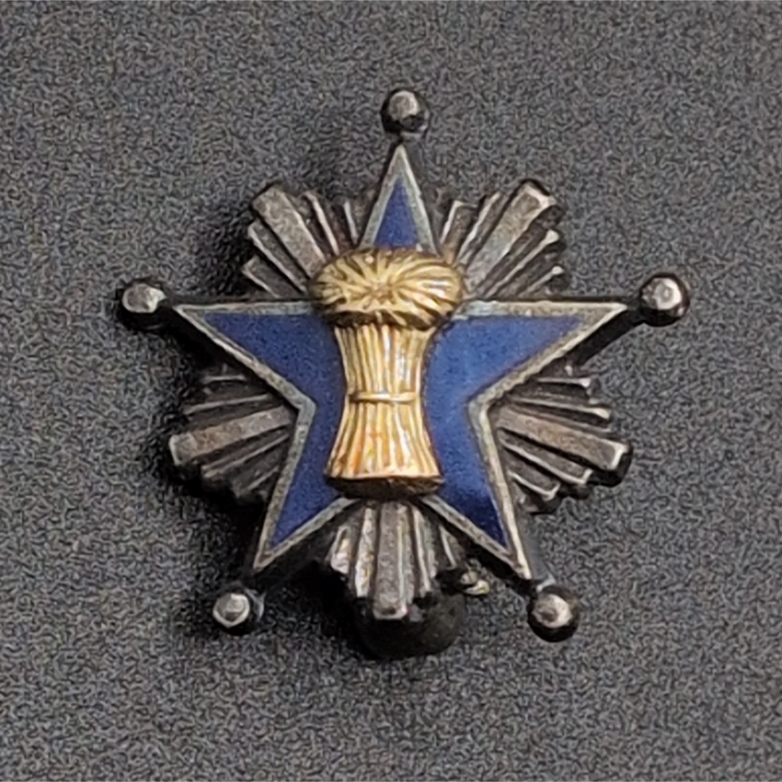 Vintage Grange Sterling Silver Pin Grange of the Order of Patrons of Husbandry