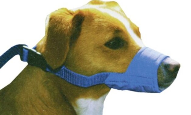 Four Flags Quick Muzzle Animal Muzzle Blue Small/Medium