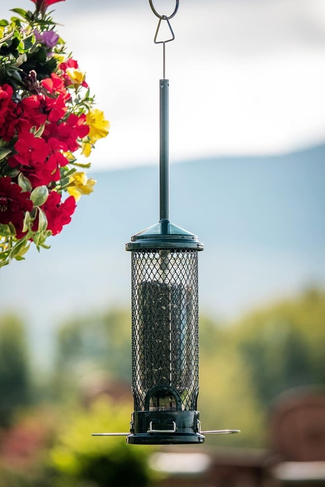 Brome Squirrel Buster Mini Bird Feeder, Squirrel Proof