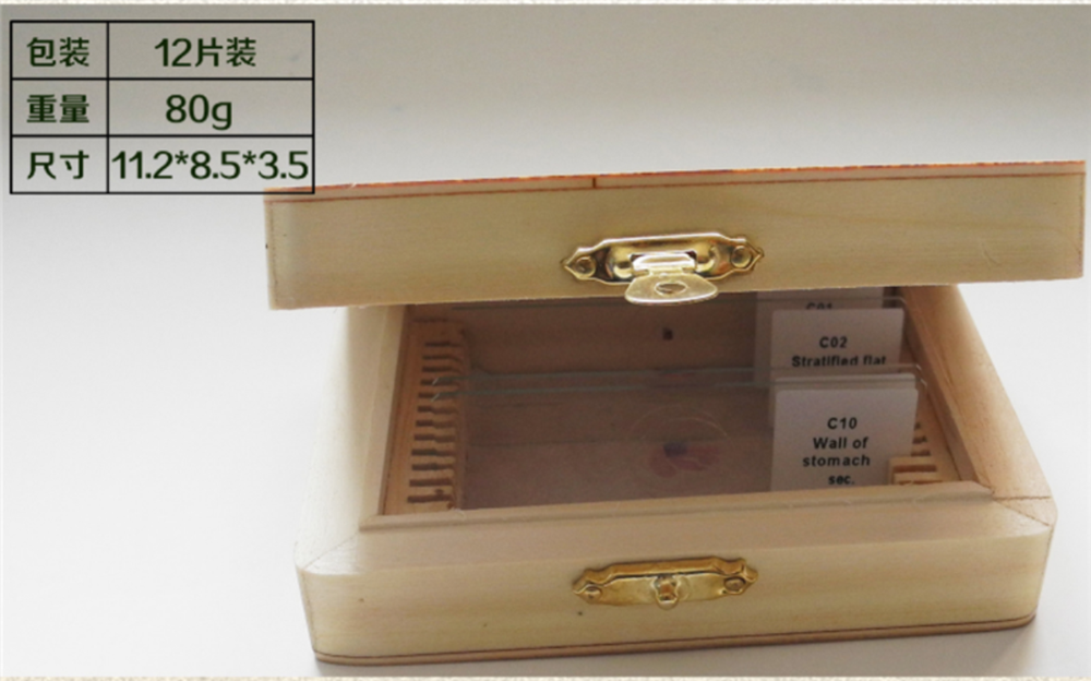 Microscope Slide Storage Wooden Box Specimen Holding Storage Case with Lock