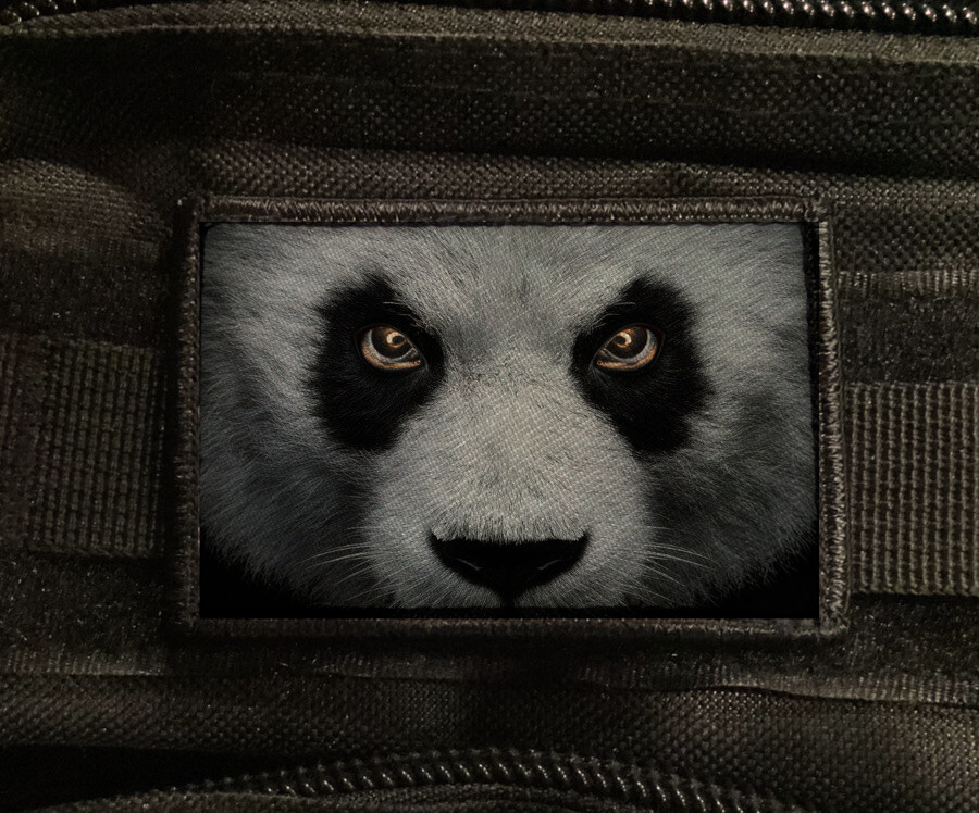 Panda Gaze Patch Angry Army Morale Hook [sub]