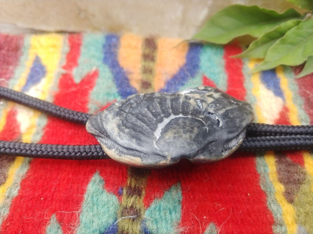 Handcrafted Black Clamshell Bolo Tie