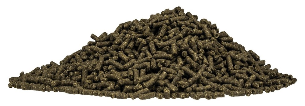 Equine Iron Charge® Plus, 4 lb