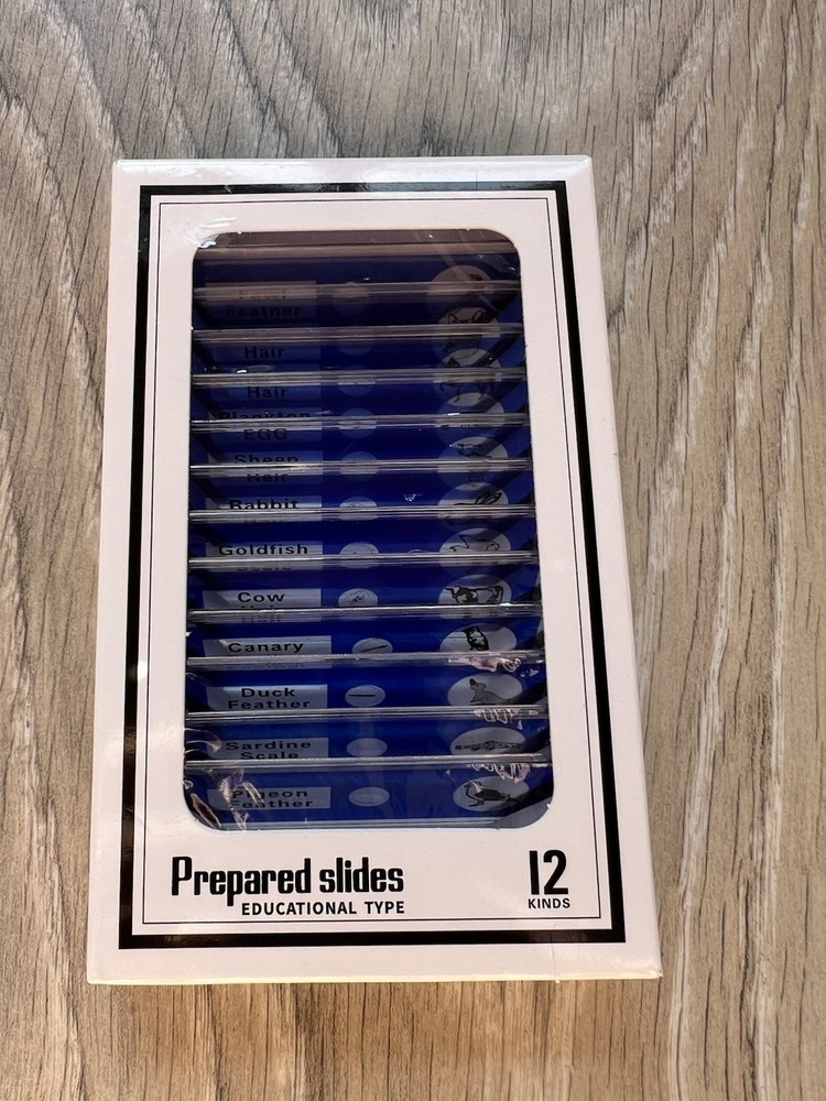 Prepared Slides Educational Type 12 Kinds